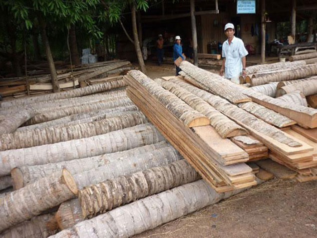 gỗ dừa lát sàn